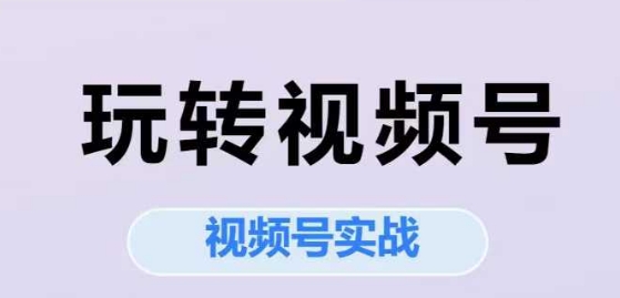 玩转视频号，视频号实战系列课-财富区