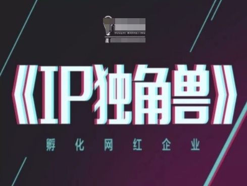 IP独角兽，孵化网红企业，ip教程-财富区