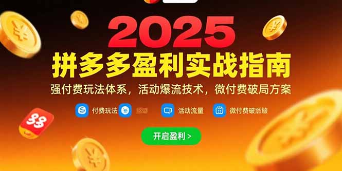 拼多多盈利实战指南，强付费玩法，活动爆流技术，微付费破局方案(更新7月)-财富区