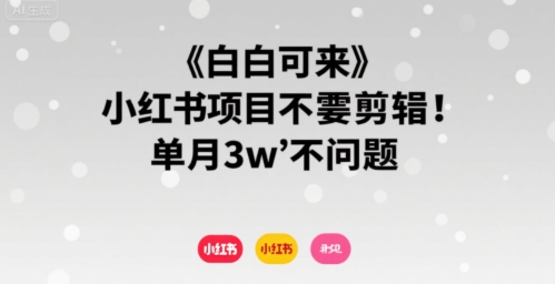 小白可来 小红书项目不需要剪辑 单月3w不是问题-财富区