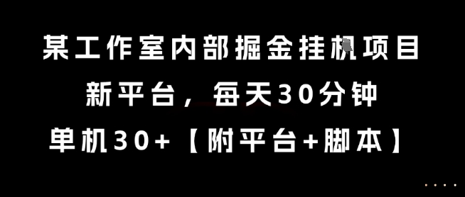 某工作室内部掘金挂G项目，新平台，每天30分钟，单机30+-财富区