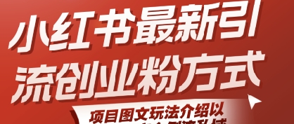 小红书最新引流创业粉方式，项目图文玩法介绍以及如何安全倒流私域-财富区