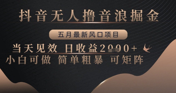 抖音无人撸音浪掘金，五月最新风口项目，当天见效，日收益多张，小白可做简单粗暴可矩阵-财富区