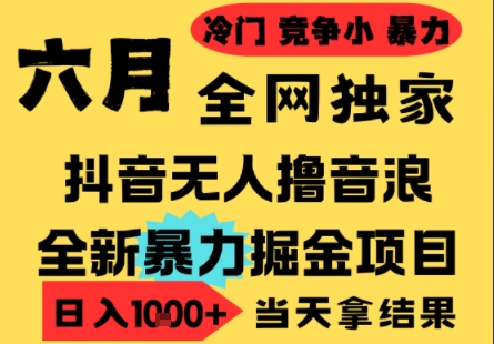 25年6月高爆抖音无人直播最新撸音浪掘金项目，小白可做，无脑日入1k+，门槛低可批量矩阵-财富区