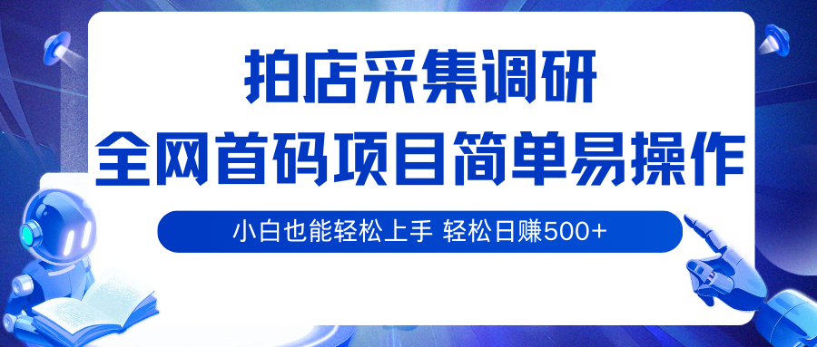 拍店采集调研，全网首码项目，简单易操作， 小白也能轻松上手，轻松日赚500+-财富区
