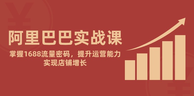阿里巴巴实战课：掌握1688流量密码，提升运营能力，实现店铺增长-财富区