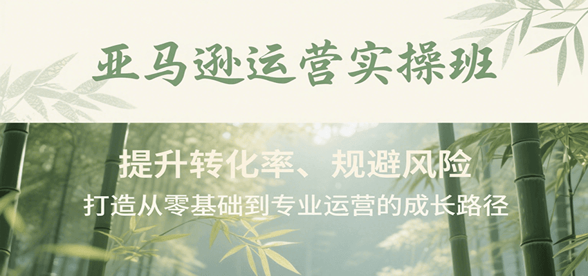 亚马逊运营实操班，提升转化率、规避风险，打造从零基础到专业运营的成长路径-财富区