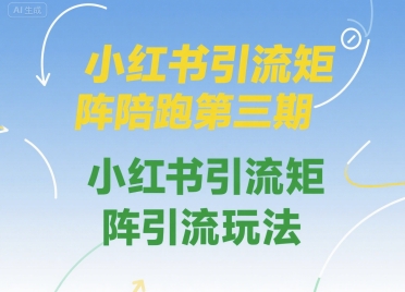 小红书引流矩阵陪跑第三期，小红书引流矩阵引流玩法-财富区