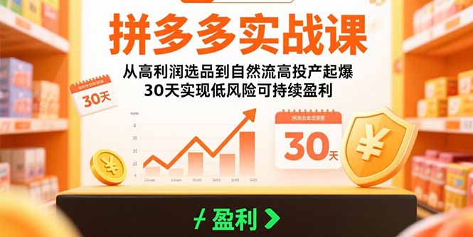 拼多多实战课：从高利润选品到自然流高投产起爆 30天实现低风险可持续盈利-财富区
