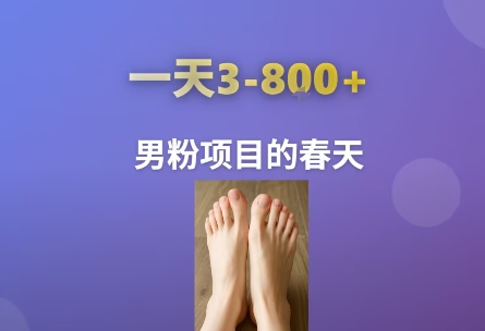 AI一键生成美女素材，一天收益3-8张，男粉项目的春天-财富区