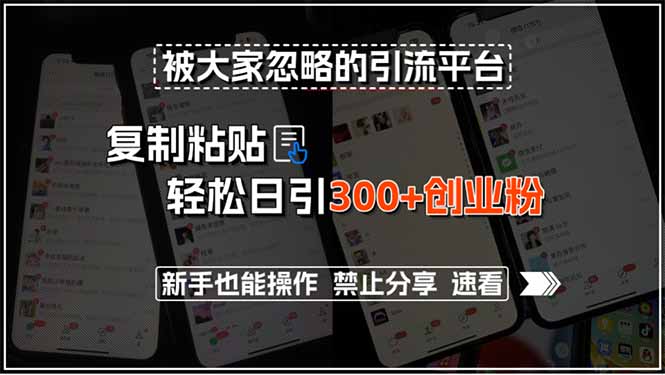 被大家忽略的引流平台，复制粘贴轻松日引300+创业粉，新手也能操作，禁…-财富区