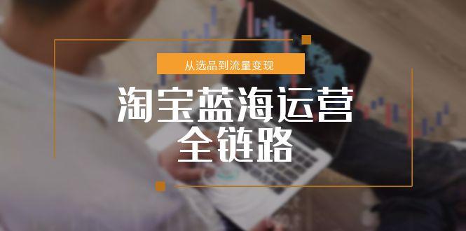 淘宝蓝海运营全链路，从选品到流量变现，小类目突围完整方案-财富区