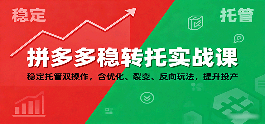 拼多多稳转托实战课：稳定托管双操作，含优化、裂变、反向玩法，提升投产-财富区