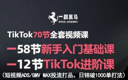 TikTok全套视频课，新手入门+进阶课，短视频ADS-GMV MAX投流打品，日销破1000单打法-财富区