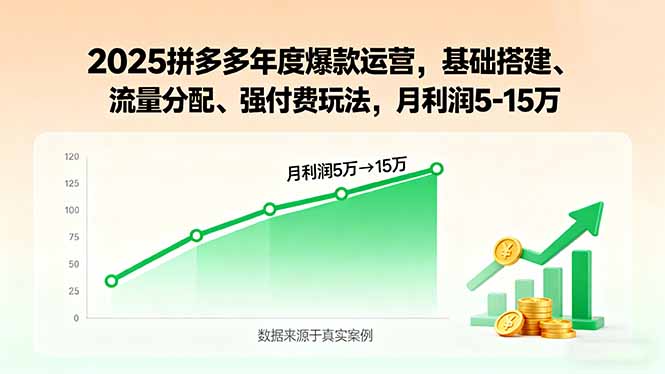 2025拼多多年度爆款运营，基础搭建、流量分配、强付费玩法，月利润5-15万-财富区