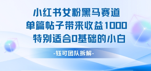 小红书女粉黑马赛道单篇帖子带来收益1k+，特别适合0基础的小白-财富区