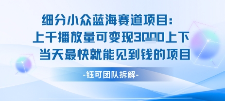 小众蓝海赛道项目：当天变现1k+适合新手操作 +适合长期玩-财富区