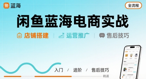 闲鱼蓝海电商实战，店铺搭建运营售后全流程-财富区