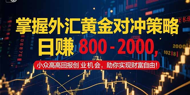 掌握外汇黄金对冲策略，日赚 800 – 2000，小众高回报创业机会，助你实…-财富区