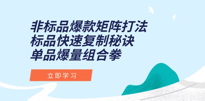 非标品爆款矩阵打法，标品快速复制秘诀，单品爆量组合拳-财富区
