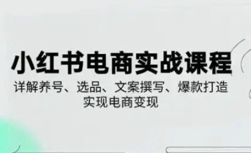 小红书从0-1实操课(2023-2025)，详解养号、选品、文案撰写、爆款打造实现电商变现-财富区