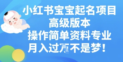 小红书宝宝起名项目高级版本，操作简单，资料专业，月入过W-财富区