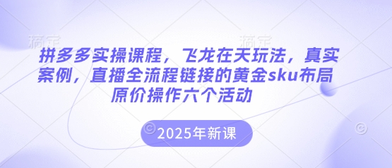 拼多多实操课程，飞龙在天玩法，真实案例，直播全流程链接的黄金sku布局原价操作六个活动-财富区