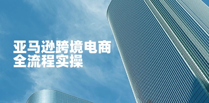 （14252期）亚马逊跨境电商全流程实操，教你从零开始，掌握店铺运营与广告技巧-财富区
