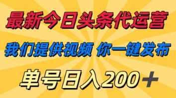 最新今日头条代运营，我们提供视频，你一键发布，单号日入200+【揭秘】-财富区