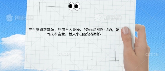 AI养生赛道新玩法，10条作品涨粉5.2W，操作简单，新人小白能轻松制作-财富区