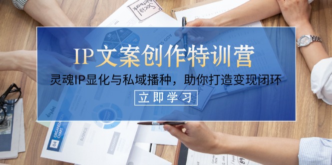（14330期）IP文案创作特训营，灵魂IP显化与私域播种，助你打造变现闭环（14节课）-财富区