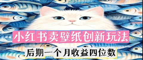 小红书卖壁纸创新玩法，后期一个月收益四位数-财富区