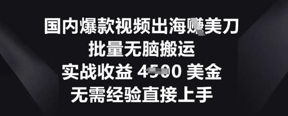国内爆款视频出海挣美刀，批量无脑搬运，实战收益4.5k，无需经验直接上手-财富区