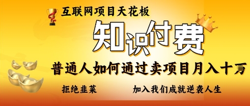 互联网项目天花板，知付付费项目，普通人如何通过卖项目月入十个，拒绝韭菜【揭秘】-财富区