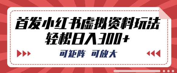 首发小红书虚拟资料玩法，可矩阵，可放大，轻松日入3张-财富区