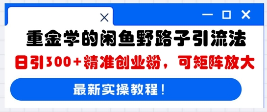 重金学的闲鱼野路子引流法，日引300+精准创业粉，可矩阵放大-财富区