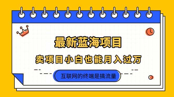 （14289期）2025年最新蓝海项目，卖项目小白也能月入过万-财富区