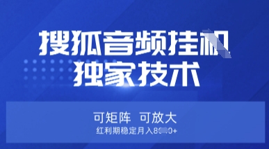 【搜狐音频挂G】独家技术，可矩阵可放大，红利期稳定月入8k【揭秘】-财富区