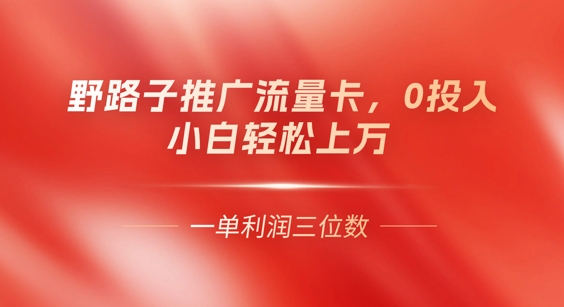 0门槛推广流量卡，一单收益上百，0投入，小白月入过W-财富区