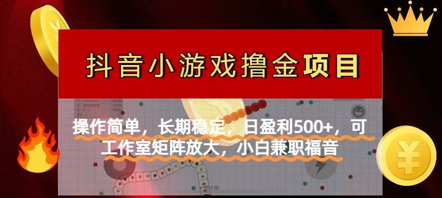 （14290期）【抖音小游戏发行人计划项目】操作简单，长期稳定，日盈利500+，可工作…-财富区
