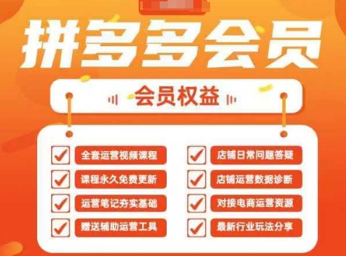 2025拼多多运营实战课，40节全流程教学，覆盖拼多多运营全链路-财富区