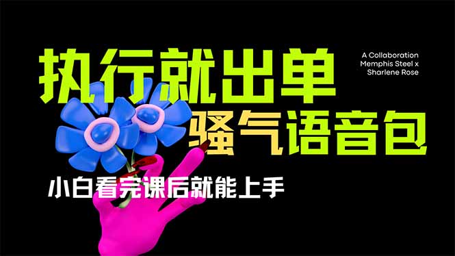 （14170期）爆火全网的开车导航骚气语音包,只要执行就出单，小白看完课程就能实操…-财富区