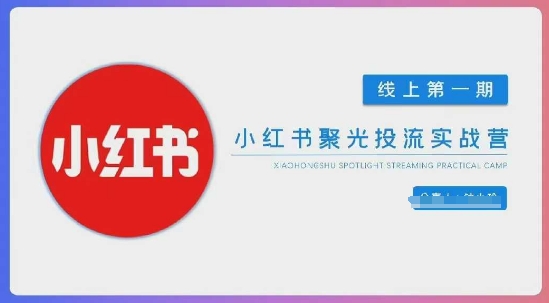小红书聚光陪跑第一期，教你从0到1玩转小红书聚光投流，搭建小红书付费投流团队，更快的见到效果-财富区
