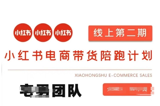 小红书电商带货课2期，月利润20个的小红书电商的有货源，无货源，虚拟产品，付费投流等整套玩法-财富区