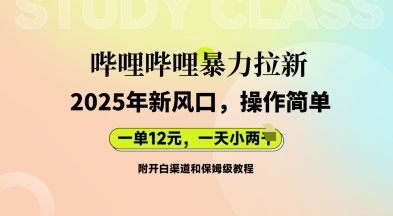 哔哩哔哩暴力拉新：2025年新风口，一单12元，一天数张(附开白渠道和保姆级教程)-财富区