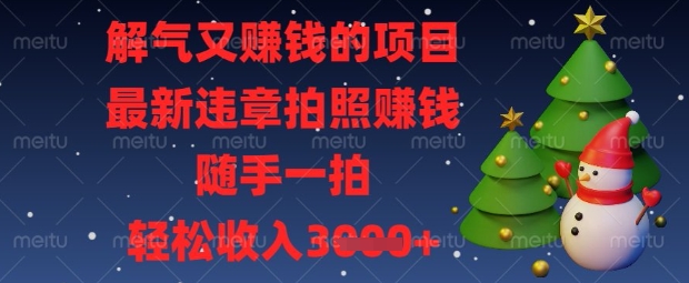 解气又挣钱的项目，最新违章拍照挣钱，随手一拍，轻松收入数张【揭秘】-财富区
